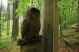 Dřevěná sova na Stezce lesních her