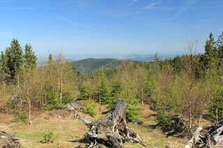 Pohled na kopec Plošina (972 m n.m.)