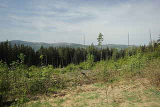 Pohled z JZ úbočí Vysokého hřbetu. Zleva hory Ždánidla (1309m), Dřevěná hůl (1206m), Plesná(Debrník) (1336m)- před ní Hůrecký vrch (1099m) a vpravo dvojvrchol hory Polom (1295m)