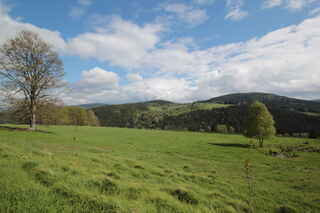 Býv. Zadní Paště - pohled směrem k Srní (vpravo vrch Spálený 1013 m n.m.)