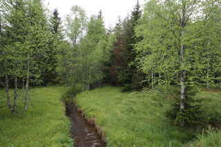 Vltavský potok