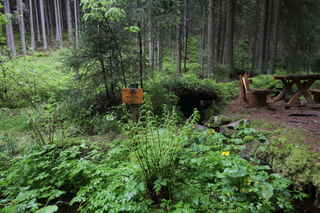 Jelení studánka