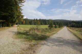 Basumské louky (1055 m n.m.)