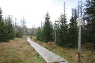 Cikánská slať (1090 m n.m.)