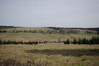 I.zóna NP Zhůřské louky- vpředu, vzadu na horizontu Hadí vrch (1021 m n.m.)