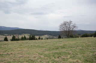 Pod Hadím vrchem (990 m n.m.). Vzadu ještě zasněžený vhrchol německého Javoru (1456 m n.m.)