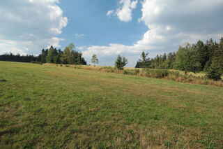 Pustina