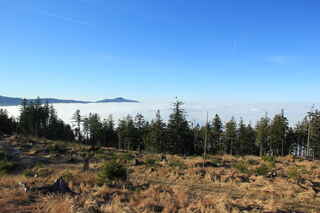 Pohled západním směrem na Královský hvozd s vrcholem Ostrý (1293 m n.m.)