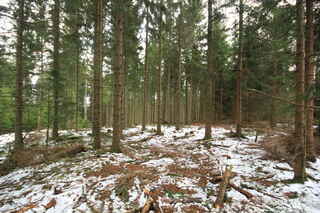 Na vrcholu Prenetu (1071 m n.m.)