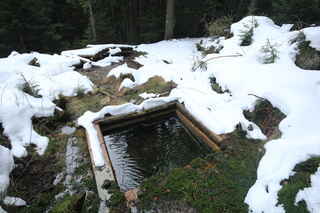 Oslí studánka nad Statečkem