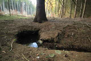 Studánka Na Stimlingu