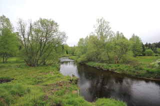 Studená Vltava