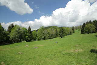 Stráně u býv. Kamenné Hlavy, vzadu Žlebský vrch (1080 m n.m.)