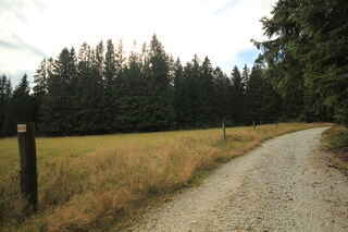 ...po žluté vzůru nad Kvildu pod kopec Lapka (1171 m n.m.)