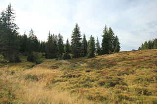 Kvilda-Perla (1050 m n.m.) - mrazová kotlina kde se nachází meteostanice A.V.
