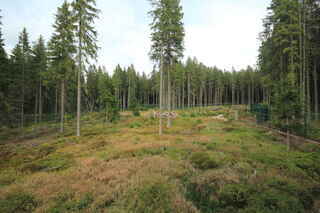 Rysí výběh