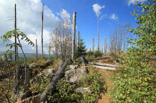 ...na vrcholu hory Siebensteinkopf (1263 m n.m.)