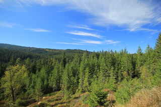 Na chvíli se otevírá výhled na úbočí Vysokého stolce (1251 m n.m.), vrcholu Stanové hory (1159 m n.m.), vpravo mezi stromy vzadu hora Tetřev (1260 m n.m.) 