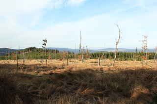 Vlevo vpředu vrchol kopce Dřevěná hůl (1206 m n.m.)