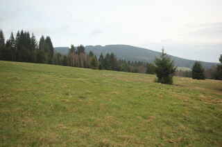 Vysoký hřbet (1078 m n.m.)