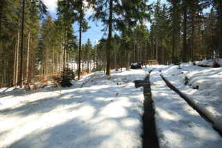 Pod vrcholem hory Prenet (1071 m n.m.)