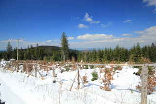 Pohled na vrchol hory Prenet (1071 m n.m.)