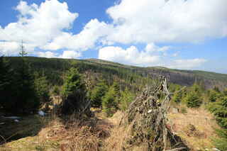 Pohled na vrcholy kopců: Polom (1295 m n.m.) a Sklářský vrch (1195 m n.m.)