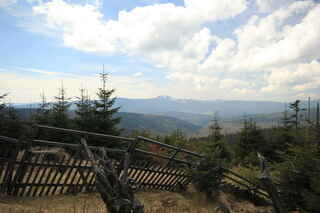 Pohled na německý Velký Javor (1456 m n.m.) z úbočí hory Debrník