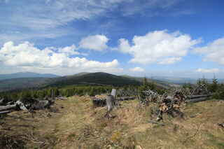 Pohled na vrchol hory Polom (1295 m n.m.) a jeho JV vrchol (blíže) (1292 m n.m.), vlevo vzadu Královský hvozd s vrcholem Svaroh (1333 m n.m.). V pravo od něj je vidět Špičák (1202 m n.m.)