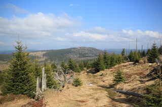 Pohled s Debrníku na vrchol Ždánidla (1309 m n.m.)