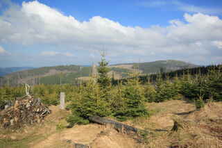 Pohled na vrchol Dřevěná Hůl (1206 m n.m.) - vlevo a Ždánidla (1309 m n.) - vpravo