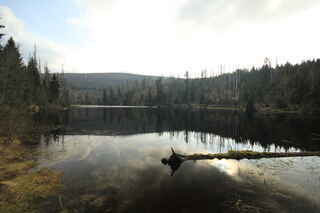 Jezero Laka (1096 m n.m.)