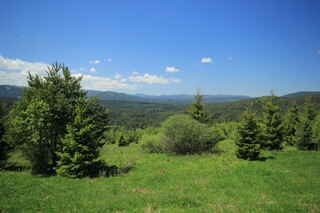 Pohled západním směrem, vzadu zleva vrchol Svarohu (1333 m n.m.), Špičák (1202 m n.m.), Hofmanky, Pancíř (1215 m n.m.), Můstek (1235 m n.m.)