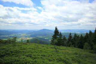 Pod starovištěm paraglaidingu pod Malým Ostrým. Uprostřed vzadu vrchol Schwarzriegel 1079 m n.m.(Hohenbogen) 