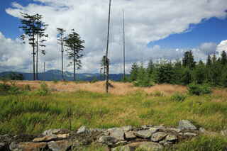 Pohled na německý Velký Javor (1456 m n.m.)