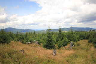 Krásný pohled z SZ úbočí Polomu (zleva) na Jezerní horu (1343 m n.m.), Špičák (1202 m n.m.), Hofmanky (1075 m n.m.), vrchol Pancíře (1214 m n.m.), Můstek (1235 m n.m.)