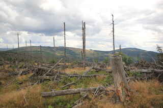 Pohled na horu Plesná/Debrník (1336 m n.m.) - vlevo a německý Velký a Malý Falkenstein (1312 a 1190 m n.m.) - vpravo