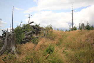 Pohled na JV vrchol Polomu (1291 m n.m.) s meteostanicí