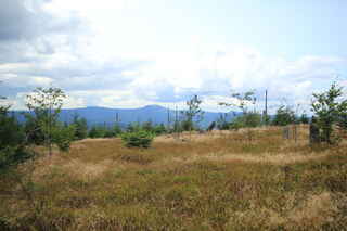Pohled na Velký Javor (1456 m n.m.)