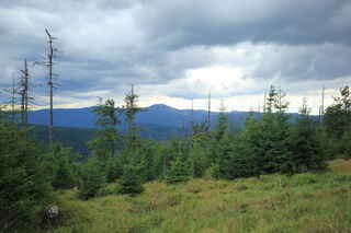 Velký Javor (1456 m n.m.)