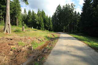 Nad Samotami (960 m n.m.)