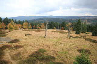 Pohled z vrcholu hory Scheuereckberg (1193 m n.m.) směrem k hoře Poledník (na horizontu uprostřed)