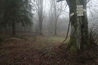 Křížový Vrch (803 m n.m.)
