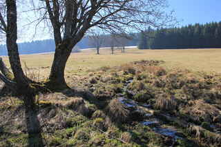 Studánka/pramen Gerlovská