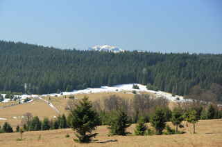 Pohled přes Zhůřské louky na německý Velký Javor (1456 m n.m.)