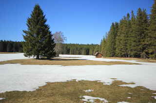 Na louce mezi vrcholy Hadí vrch (1023 m n.m.) a Javorná (1090 m n.m.)