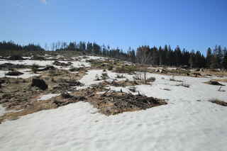 Pohled k vrcholu hory Javorná (1090 m n.m.)