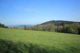 Pohled na vrchol kopce Plošina (972 m n.m.)