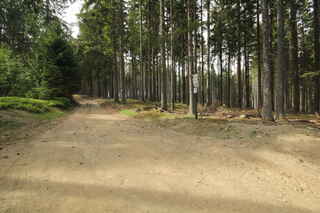 Rozcestí Vysoký hřbet (1005 m n.m.)