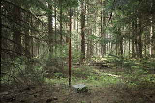 Trigonometrický bod vrcholu Vysoký hřbet (1078 m n.m.)